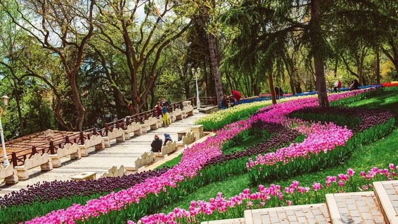 Những luống hoa tulip rực rỡ tại Emirgan Park Istanbul vào mùa xuân