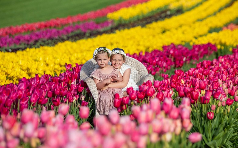 Vườn hoa tulip rực rỡ ở Istanbul vào tháng 4